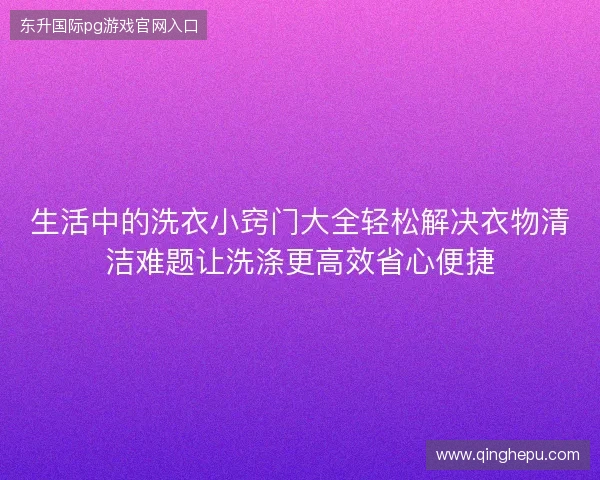 生活中的洗衣小窍门大全轻松解决衣物清洁难题让洗涤更高效省心便捷