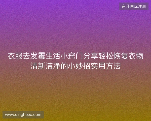 衣服去发霉生活小窍门分享轻松恢复衣物清新洁净的小妙招实用方法 衣服去发霉生活小窍门分享轻松恢复衣物清新洁净的小妙招实用方法