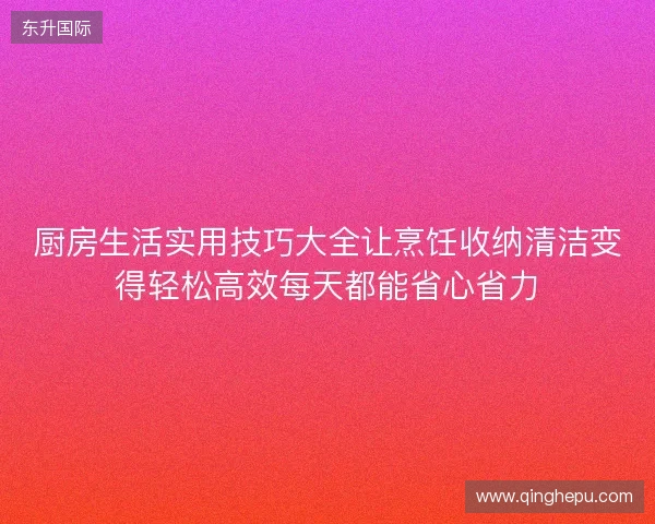 厨房生活实用技巧大全让烹饪收纳清洁变得轻松高效每天都能省心省力 厨房生活实用技巧大全让烹饪收纳清洁变得轻松高效每天都能省心省力